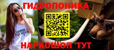эйфоретик Моздок